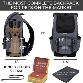 img 1 attached to 🐶 CUTIE BUM: Premium Dog Carrier Backpack for Small Pets 7-15lbs - Airline Approved, Waterproof Bottom - Ideal for Hiking & Travel (Heather Grey)