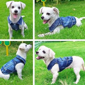 img 3 attached to 🐶 LKEX Dog Jean Jacket, Blue Denim Shirt Lapel Vest Coat Costume, Puppy T-Shirt Comfort Tank Top Shirts Apparel, Washed Pet Clothes for Small Medium Dogs Boys Girls, Cute Cat Outfits - Enhanced SEO