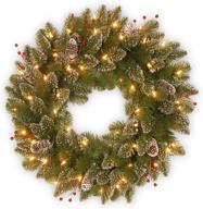 🎄 24-inch national tree company green glittery mountain spruce christmas wreath with white lights, decorated with pine cones, berry clusters, frosted branches from the christmas collection логотип