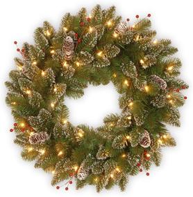 img 3 attached to 🎄 24-Inch National Tree Company Green Glittery Mountain Spruce Christmas Wreath with White Lights, Decorated with Pine Cones, Berry Clusters, Frosted Branches from the Christmas Collection