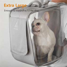 img 3 attached to 🐱 Переноска для кошек Petseek: сумка-рюкзак до 17 фунтов для маленьких собак - идеально подходит для путешествий, походов и активного отдыха на свежем воздухе.
