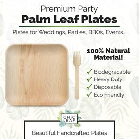 img 3 attached to Chic Leaf 10-Inch Square Palm Leaf Plates (25 Pack) - Biodegradable & Compostable Bamboo Plates - Eco-Friendly Alternative to Plastic, Paper, & Wood Plates - Party Pack with 25 Wooden Forks