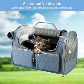 img 1 attached to 🐱 Black Phoenix Kiss Small Pet Carrier for Cats - Airline Approved Under Seat - TSA Approved Mesh Window Dog Airplane Carrier - Portable Soft Cat Transport Carrier