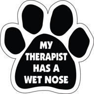 imagine this d1664 rescue therapist logo