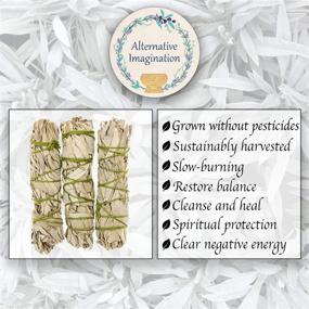 img 3 attached to 3 Pack of Alternative Imagination California White Sage Bundles – Slow Burning Spirit Sticks for Smudging, Meditation, and Cleansing House of Negative Energy – Purifying Smudge Sticks