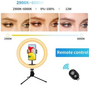 img 2 attached to 📸 CIPCO PRO TOOL 10" Selfie Circle LED Light Ring: Perfect Makeup Lamp with Adjustable Desktop Tripod Stand, Phone Holder, Bluetooth Remote, and 3 Color Modes