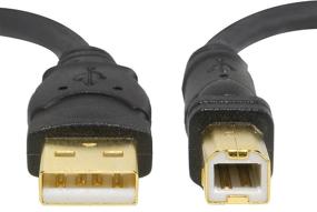 img 2 attached to 🔌 Кабель USB 2.0 A Male to B Male длиной 10 футов высокой скорости - золотистые разъемы - черный [Part# 30-001-10B] от Mediabridge.