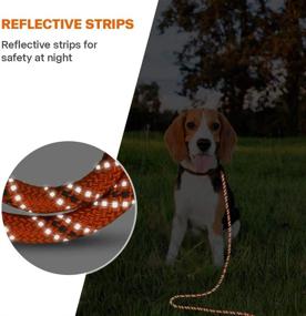 img 2 attached to 🐾 Taglory Reflective Dog Training Leash, 15/30/50/66 FT Long Rope Lead for Large Medium Small Dogs Walking, Camping or Backyard - Heavy Duty, Black/Orange