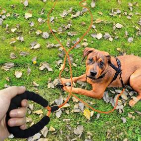 img 3 attached to 🐾 Taglory Reflective Dog Training Leash, 15/30/50/66 FT Long Rope Lead for Large Medium Small Dogs Walking, Camping or Backyard - Heavy Duty, Black/Orange