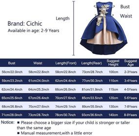 img 1 attached to Cichic Princess Formal Dresses Elegant Apparel & Accessories Baby Girls and Clothing