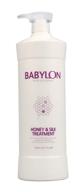babylon professional honey & silk treatment: nourishing and restorative hair care solution logo