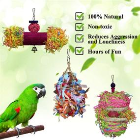 img 2 attached to 🦜 Rypet Bird Shredder Toys - Ultimate Foraging Hangout for Parrots & Other Exotic Birds! (3 Pack)