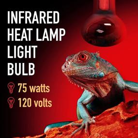 img 3 attached to 🔴 2-Pack of 75 Watt Infrared Heat Lamp Bulbs for Reptiles - Keep Your Animals Warm - Red Heat Lamp Bulb Compatible with Various Enclosures