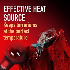 img 2 attached to 🔴 2-Pack of 75 Watt Infrared Heat Lamp Bulbs for Reptiles - Keep Your Animals Warm - Red Heat Lamp Bulb Compatible with Various Enclosures