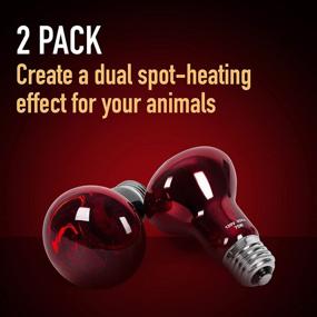 img 1 attached to 🔴 2-Pack of 75 Watt Infrared Heat Lamp Bulbs for Reptiles - Keep Your Animals Warm - Red Heat Lamp Bulb Compatible with Various Enclosures