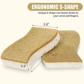 img 1 attached to Foamstar Sponges 10 Friendly Non Scratch Biodegradable