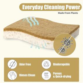 img 2 attached to Foamstar Sponges 10 Friendly Non Scratch Biodegradable