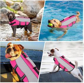 img 3 attached to 🐶 Queenmore High Buoyancy Dog Life Jacket with Rescue Handle – Lightweight &amp; Highly Visible Life Vest for Small and Medium Dogs