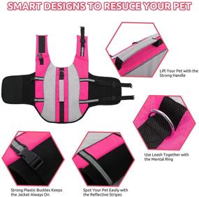 img 1 attached to 🐶 Queenmore High Buoyancy Dog Life Jacket with Rescue Handle – Lightweight &amp; Highly Visible Life Vest for Small and Medium Dogs