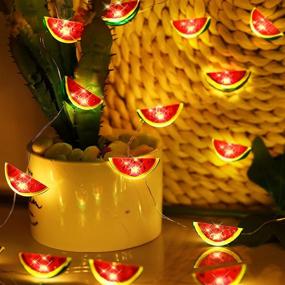 img 1 attached to 🍉 Watermelon Decor String Lights - 10ft, 40 LEDs - USB/Battery Powered with Remote Timer - Summer Home Party Supplies, Thanksgiving & Christmas Decorations - Indoor/Outdoor Night LED Lights