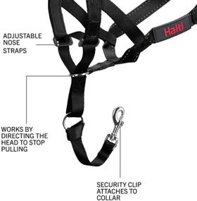 img 2 attached to 🐶 Halti Dog Headcollar and Training Lead Combination Pack