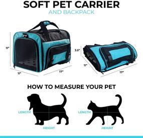 img 2 attached to 🐱 Premium 5-in-1 Cat Backpack: TSA Airline Approved Soft Pet Car Carrier Crate for Cats & Small Dogs - Washable, Portable Cat Bed House - Travel-friendly Luggage Shoulder Bag Back Pack