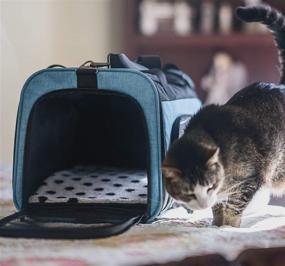 img 3 attached to 🐱 Premium 5-in-1 Cat Backpack: TSA Airline Approved Soft Pet Car Carrier Crate for Cats & Small Dogs - Washable, Portable Cat Bed House - Travel-friendly Luggage Shoulder Bag Back Pack