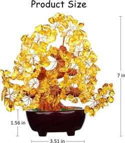 img 2 attached to 💰 Feng Shui Citrine Gem Stone Money Tree 7 Inch: Authentic Crystal Stone Guarantee, Not Plastic