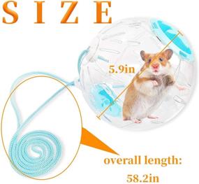 img 1 attached to Hamster Exercise Portable Material Adjustable