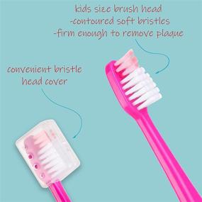 img 1 attached to 🦷 Farber Baby Kids Toothbrushes Set – Children's Toothbrush 6 Pack with Soft Bristles for Sensitive Teeth and Easy Grip Handles – Includes 6 Travel Covers (Pink, Blue, Green)