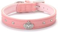 👑 cute designer rhinestone dog collars with diamond crown for puppy pet by bingpet logo