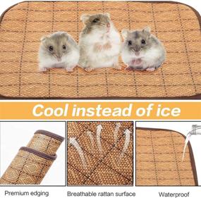 img 2 attached to 🐹 Guinea Pig Cage Liner 3-Pack with Cleaning Tool - Double-Sided 2-in-1 Bedding Mat for Summer Cooling and Winter Warmth - Waterproof Pee Pad for Guinea Pigs, Hamsters, and Ferrets - Absorbent, 3 Color Options (15.7" x 11.7")