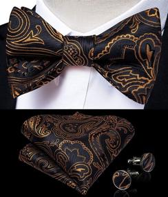 img 1 attached to DiBanGu Bowtie Wedding Necktie Cufflinks Men's Accessories