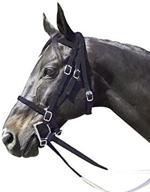 🏇 nylon race horse bridle by intrepid international логотип