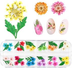 img 3 attached to LIMGLIM 120pcs Nail Dried Flowers Resin Accessories Natural Real Dry Flower for Scrapbooking DIY Candle Decoration Jewelry Crafts Nails Decor 3D Nail Art Supplies Stickers with Curved Tweezers