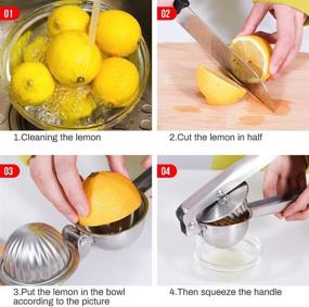 img 3 attached to OBALY Lemon Squeezer 304 Stainless Steel - Extended and Thickened Citrus Juicer 🍋 - Food Grade, Perfect for Orange, Lemon, Lime, etc. - Hand Juicer with Zester Tool