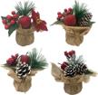 potted christmas holiday trees pinecones logo
