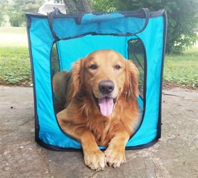 img 4 attached to Bark Brite Pop Open Collapsible Travel Crate: Available in 2 Convenient Sizes