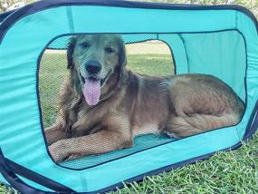 img 3 attached to Bark Brite Pop Open Collapsible Travel Crate: Available in 2 Convenient Sizes