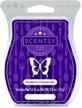 scentsy ax ay abhi 98514 bar blueberry cheesecake logo