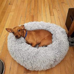 img 3 attached to 🛏️ Calming Small Dog Bed for Small to Large Dogs - Anti-Anxiety Warm Cozy Puppy Bed - Machine Washable Soft Round Pet Bed (Fits 10-100 lbs)