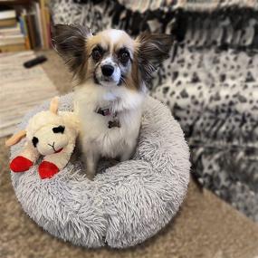 img 2 attached to 🛏️ Calming Small Dog Bed for Small to Large Dogs - Anti-Anxiety Warm Cozy Puppy Bed - Machine Washable Soft Round Pet Bed (Fits 10-100 lbs)