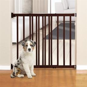 img 1 attached to Dreambaby Nelson Gro-Gate: Expandable Wooden Walk Through with Gro-Guard Technology