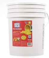 🎨 5 gallon pail of xsorb rock solid paint hardener logo