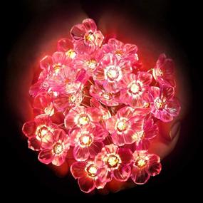 img 1 attached to Mushroom Butterfly Cherry Blossoms Acorn LED String Lights Lighting & Ceiling Fans in Novelty Lighting