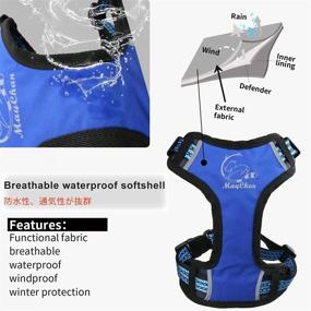 img 1 attached to 🐾 MNC Small Blue X-Sport 3D Mesh Pet Harness