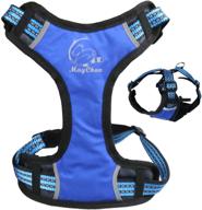 🐾 mnc small blue x-sport 3d mesh pet harness логотип