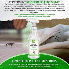 img 2 attached to NATURAL OUST Peppermint Oil Spider Repellent Spray - Eco Friendly Indoor Outdoor Solution for Effective Spider Control