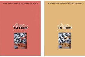 img 4 attached to 📚 STRAY KIDS in Life Стандартное издание: IN生 Репакет альбом - 2 CD, 2 фотоальбома, 4 фотокарты, 2 почтовые открытки