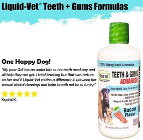 img 1 attached to 🦷 Liquid-Vet Advanced Dental Care Supplements for Dogs - Teeth & Gums Support, Oral Mouth Care, Reducing Tartar, Plaque & Gingivitis